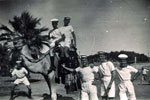 The camel with the Juniors mess in attendance! Port Fouad, Port Said around September, 1954. 