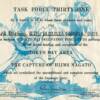 Task Force 31 Certificate