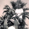 Ride 'em Sailor! Keith Butler astride a camel at Port Fouad, Port Said around September 1954. Image from Keith Butler