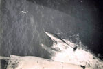Porpoise Escort. Indian Ocean, 1955/56. Image from Keith Butler