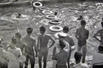 Swimming gala at RAF Khormaksar,Aden on January 5, 1958. Photo kindly supplied by Terry Craig.