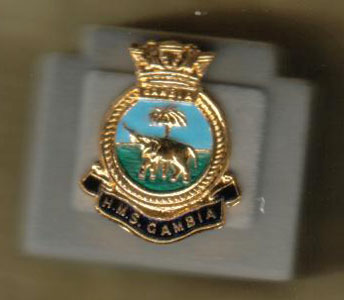 Lapel Pin