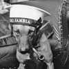 This dog doesn't look too happy. Photo from my dad's albums.