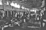 A market in Kuwait in 1951. Photo from my dad's albums.