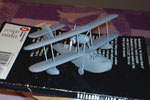 John Edwards' HMS Gambia's Walrus airplane