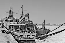 On the left is SAS Vrystaat (Ex-HMS Wrangler). I think the ship on the right is the Portuguese NRP Nuno Tristão